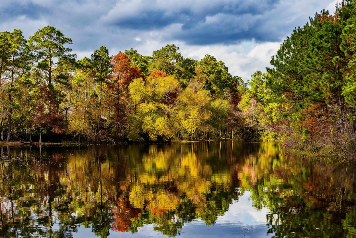 Осень в Техасе