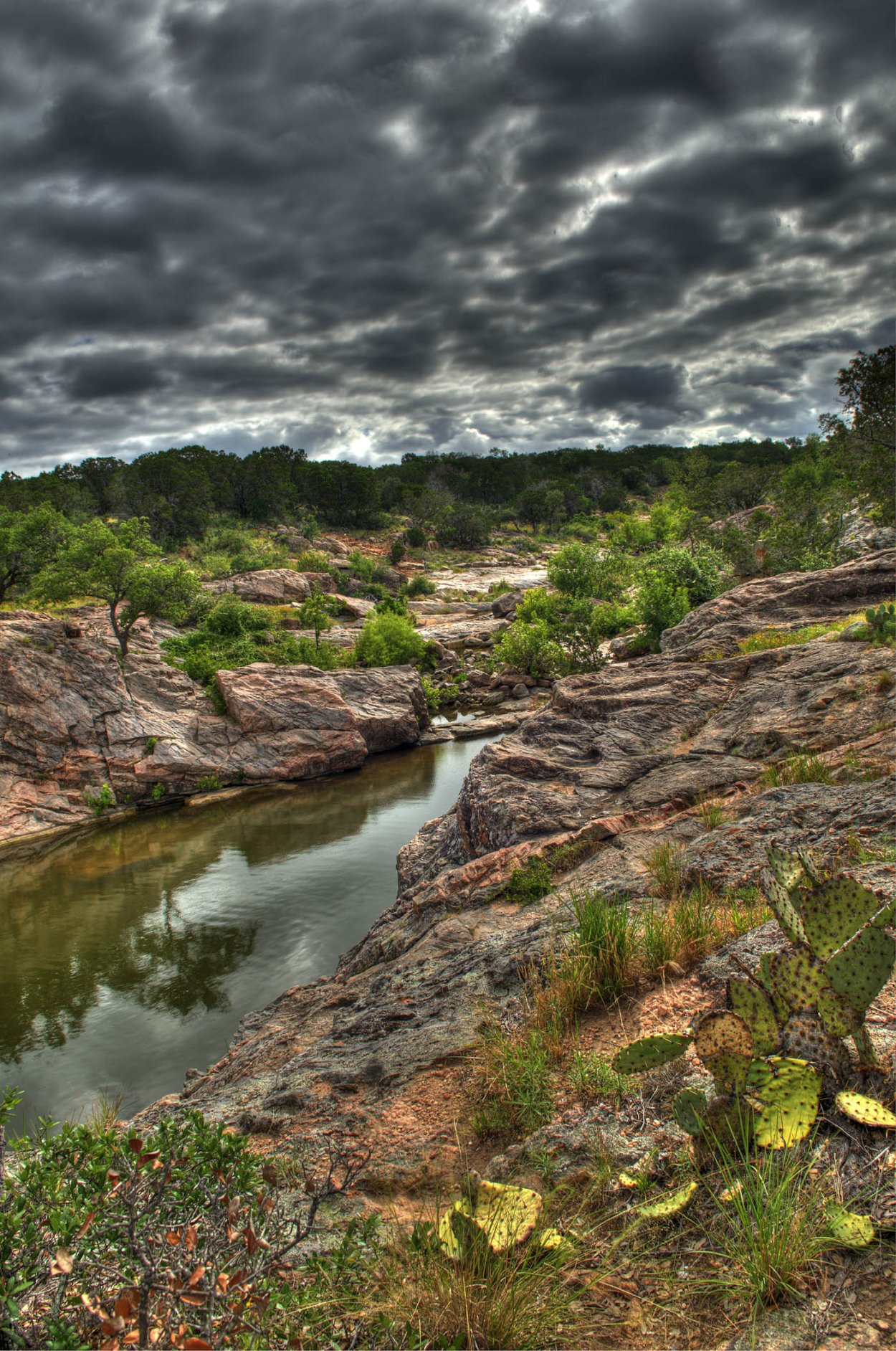 Техас США природа