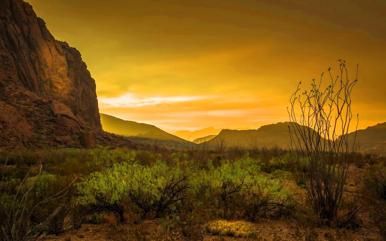 Штат Техас природа