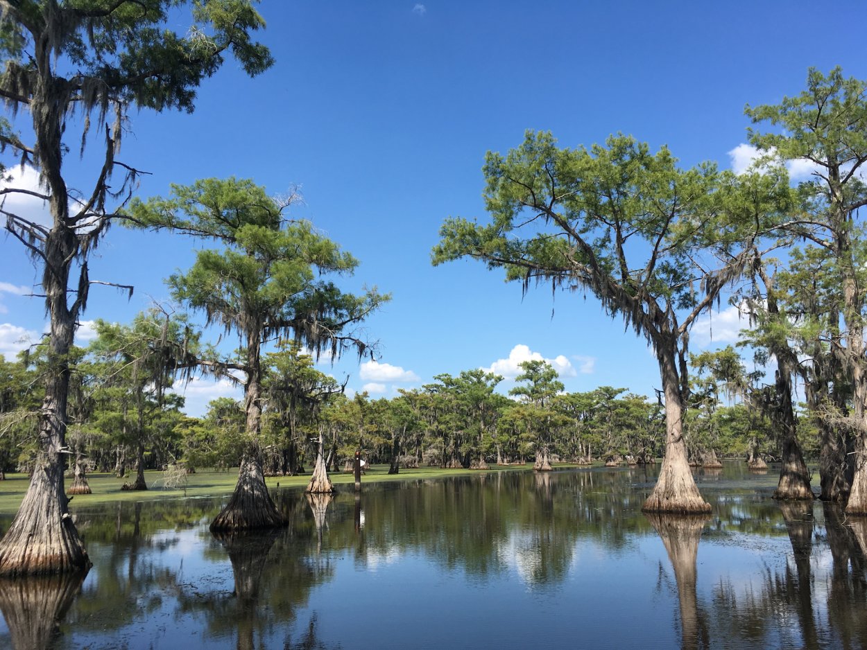 191 Озер штата Техас