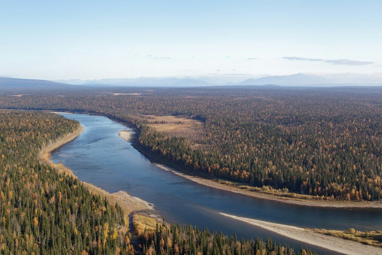 Река Щугор Урал