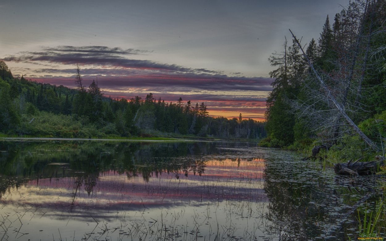 Река Печора