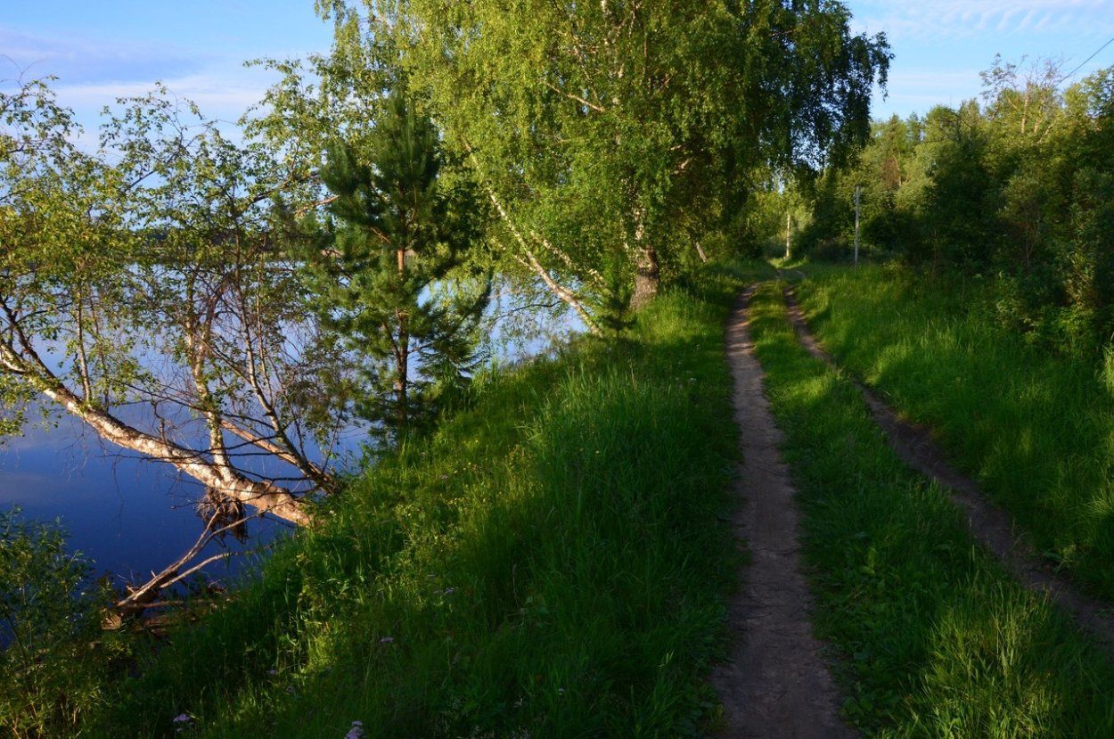 Лето в Коми крае