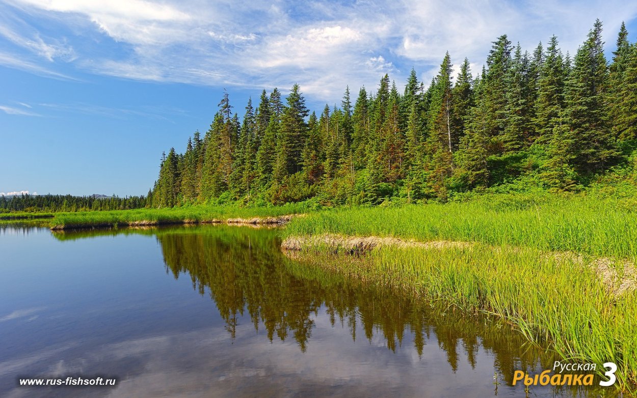 Природа Коми края