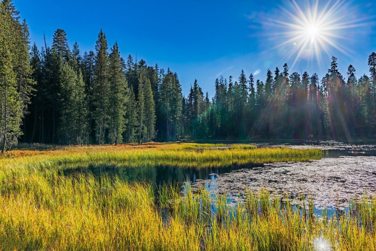 Республика Коми лето