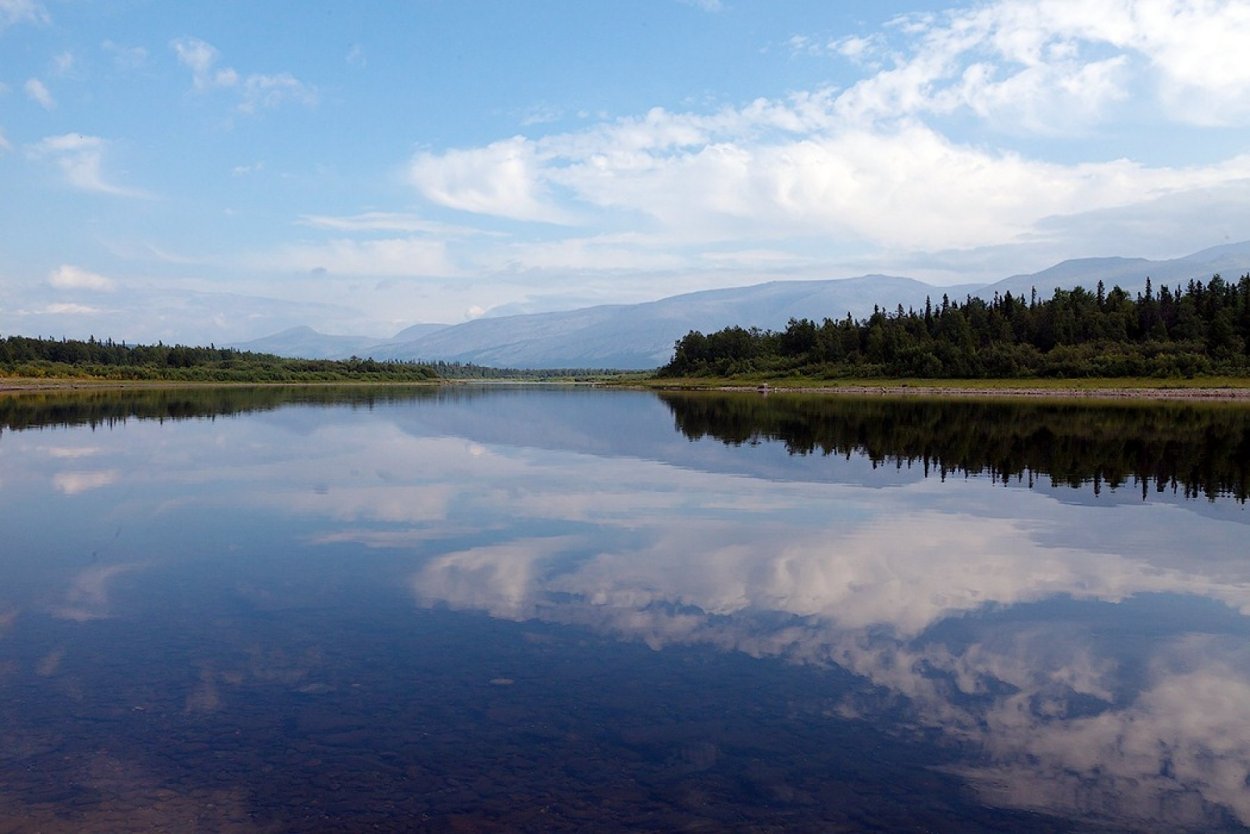 Река Щугор Коми
