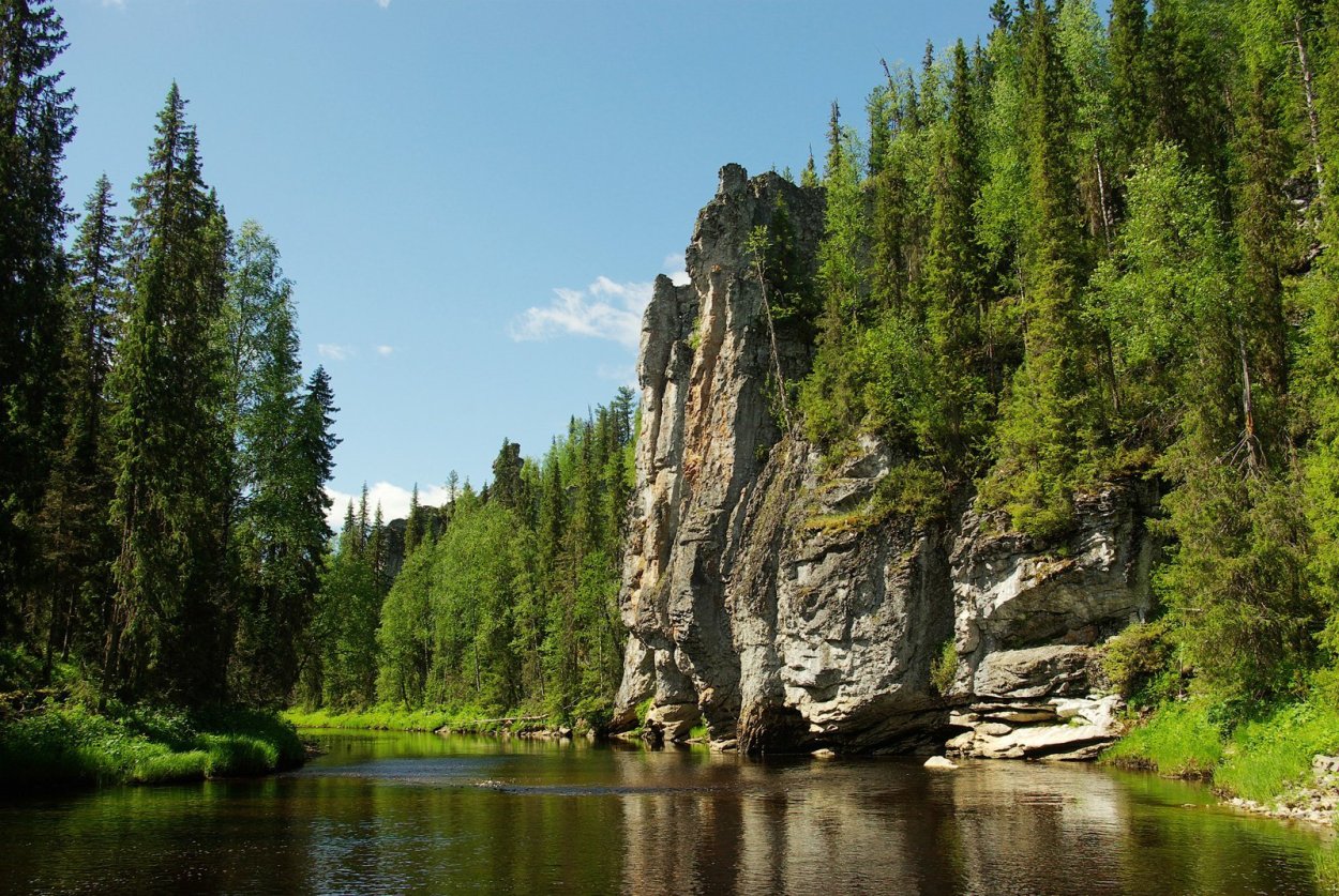 Девственные леса Коми Печора