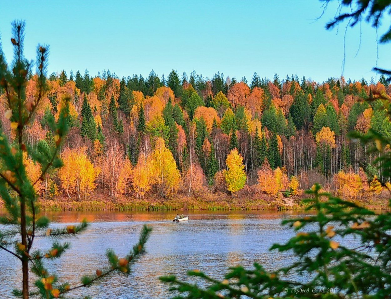 Природа Печора Коми осень