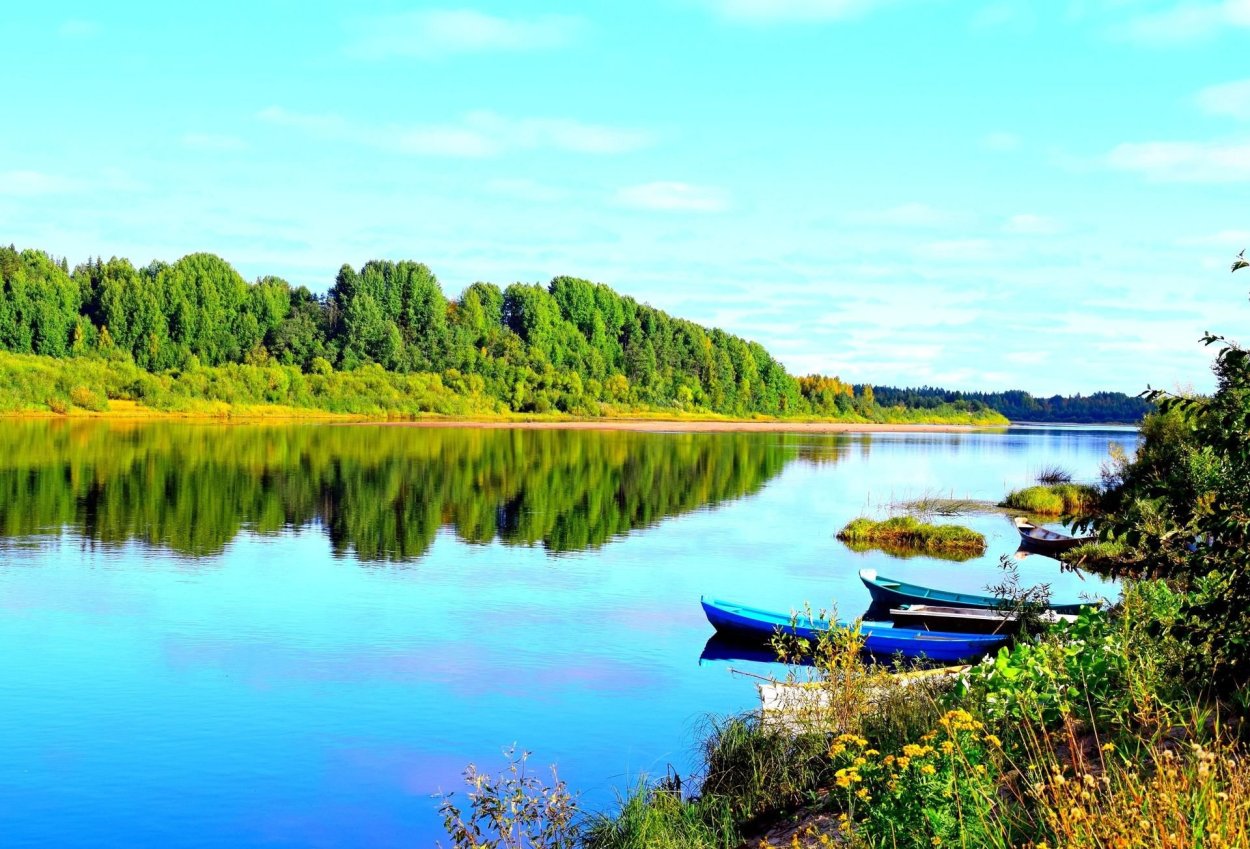 Река Вашка Республика Коми