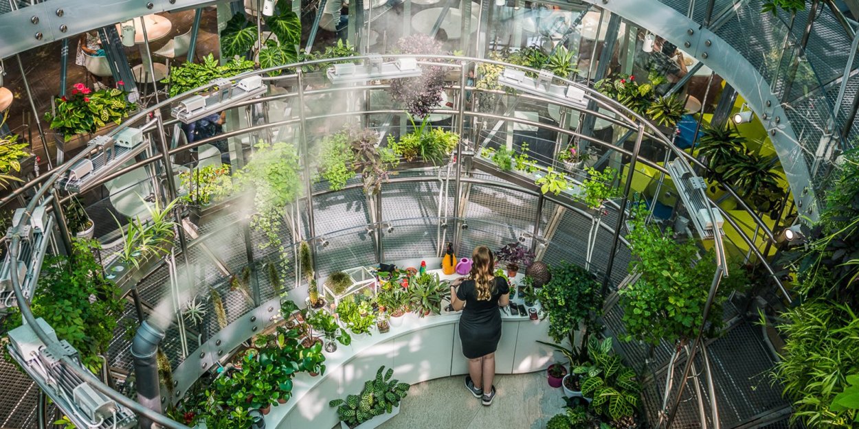 Флорариум в парке Зарядье