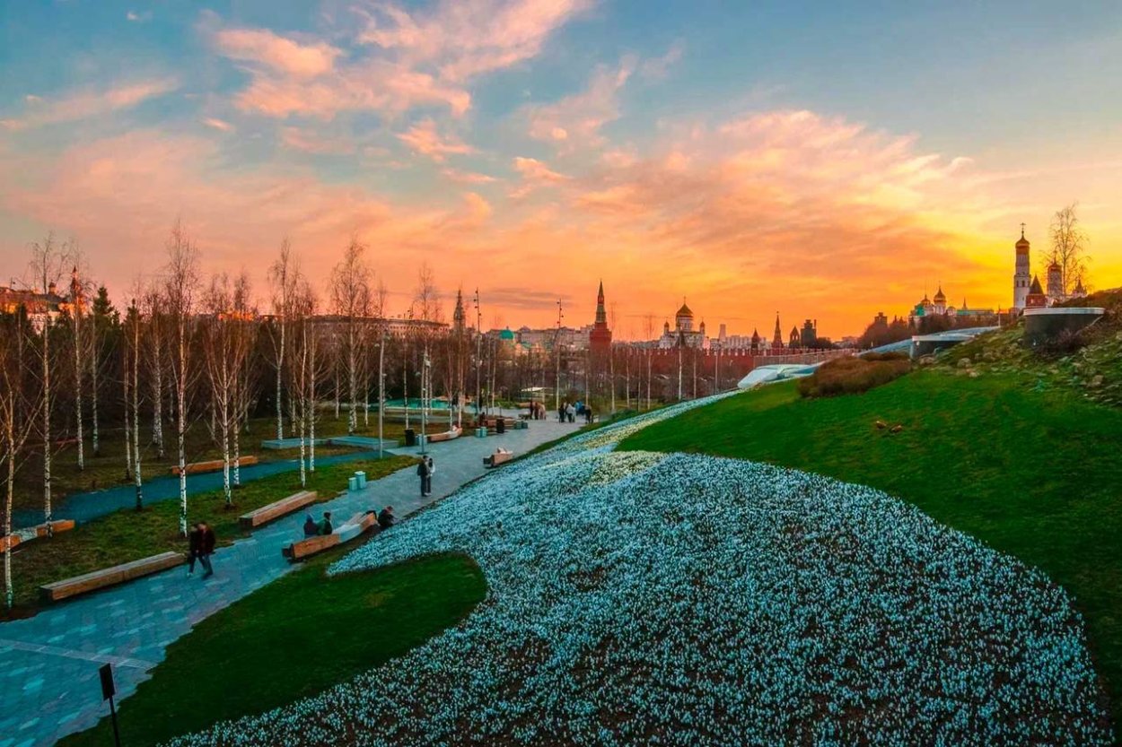 Волны цветения парк Зарядье