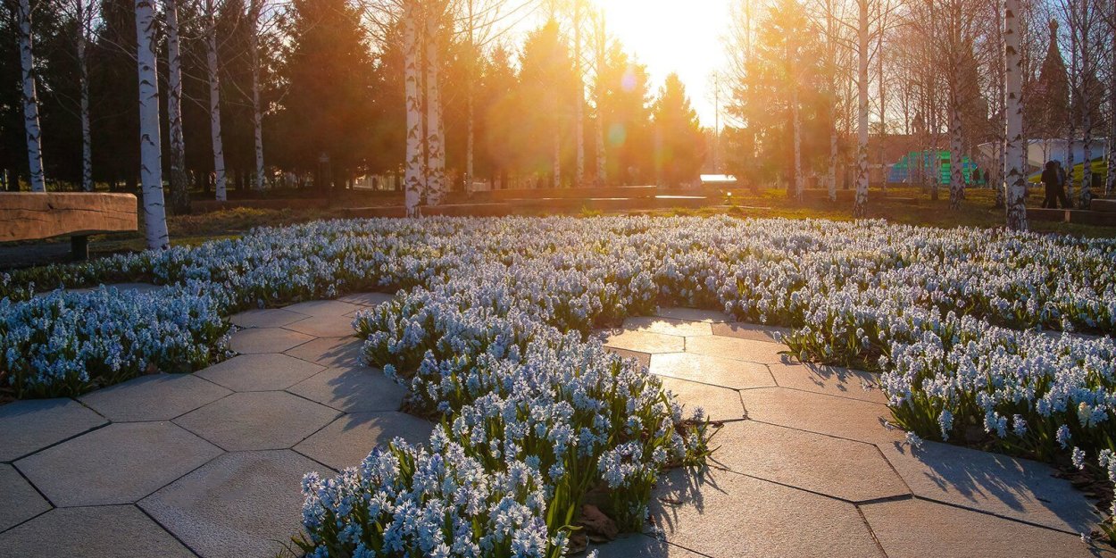 Цветы в Зарядье 2022