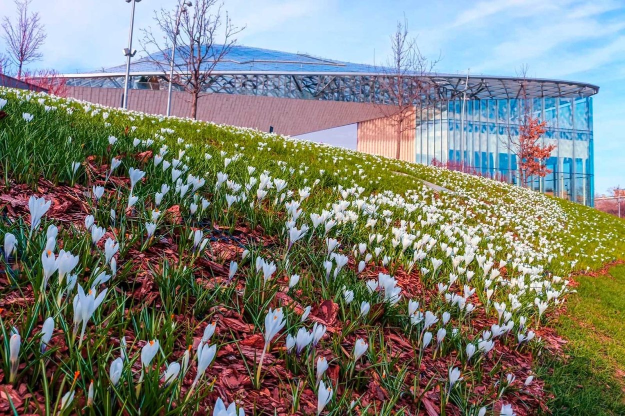 Парк Зарядье цветы 2022