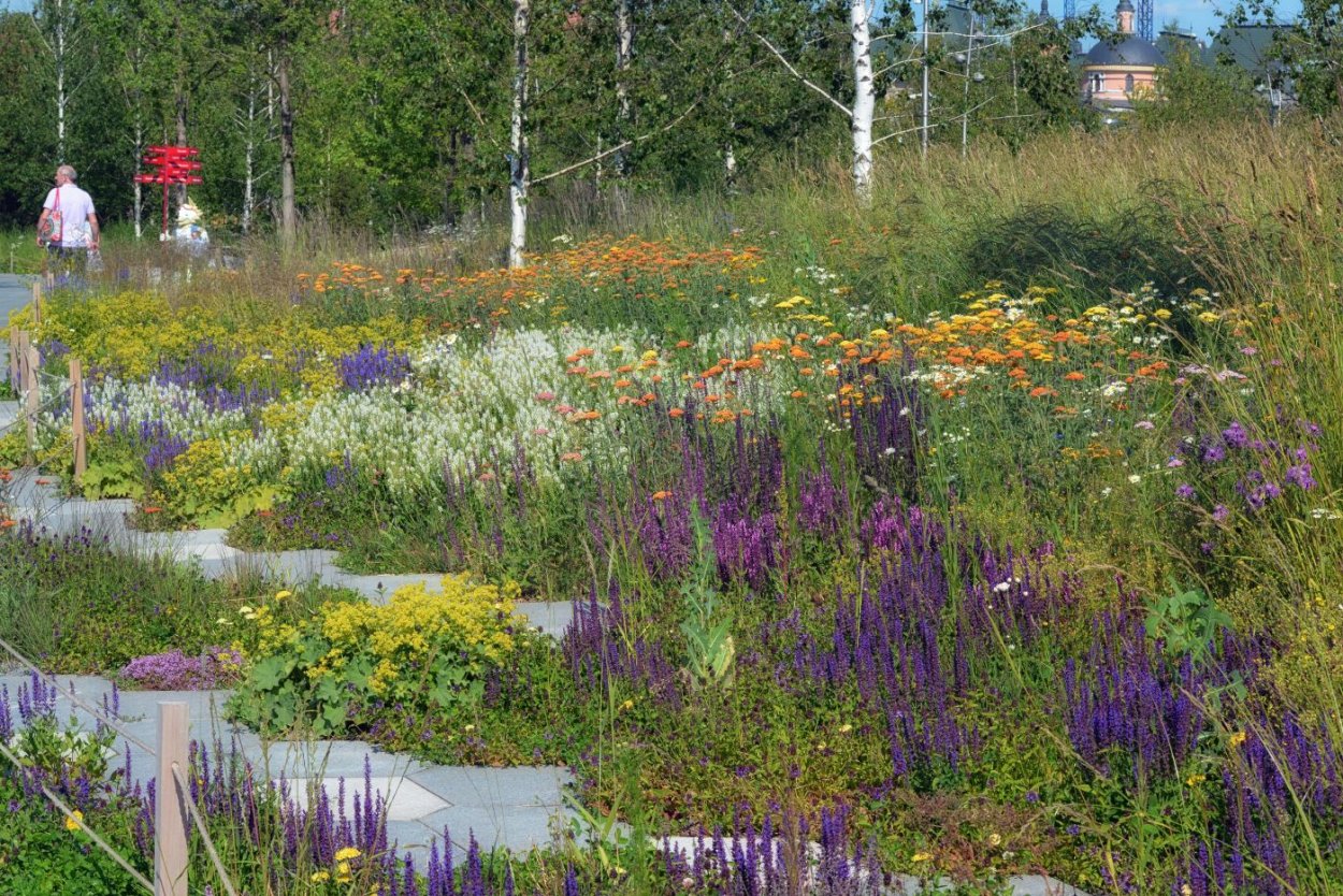 Северные ландшафты Зарядье