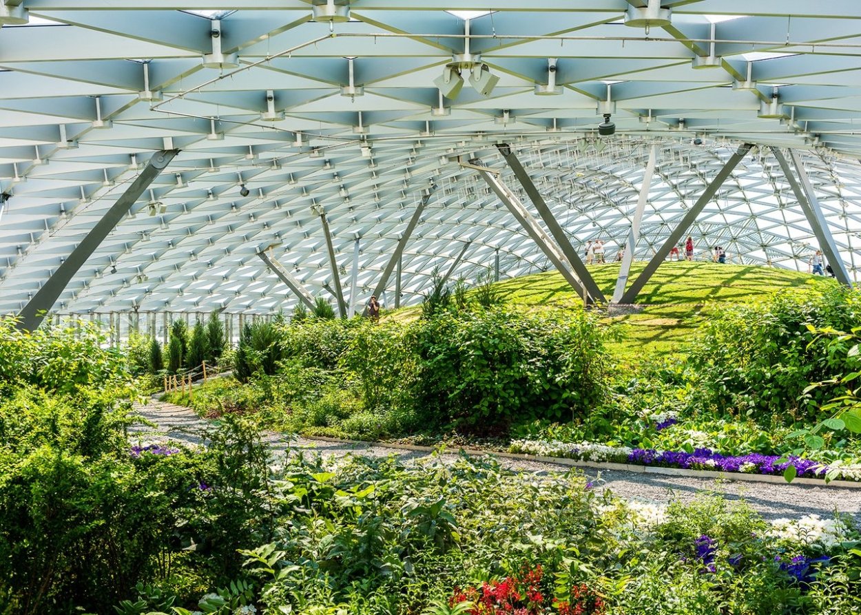 Парк Зарядье оранжерея