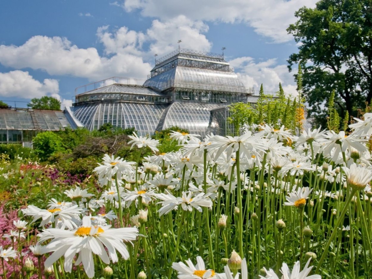 Чебоксары лето Ботанический сад