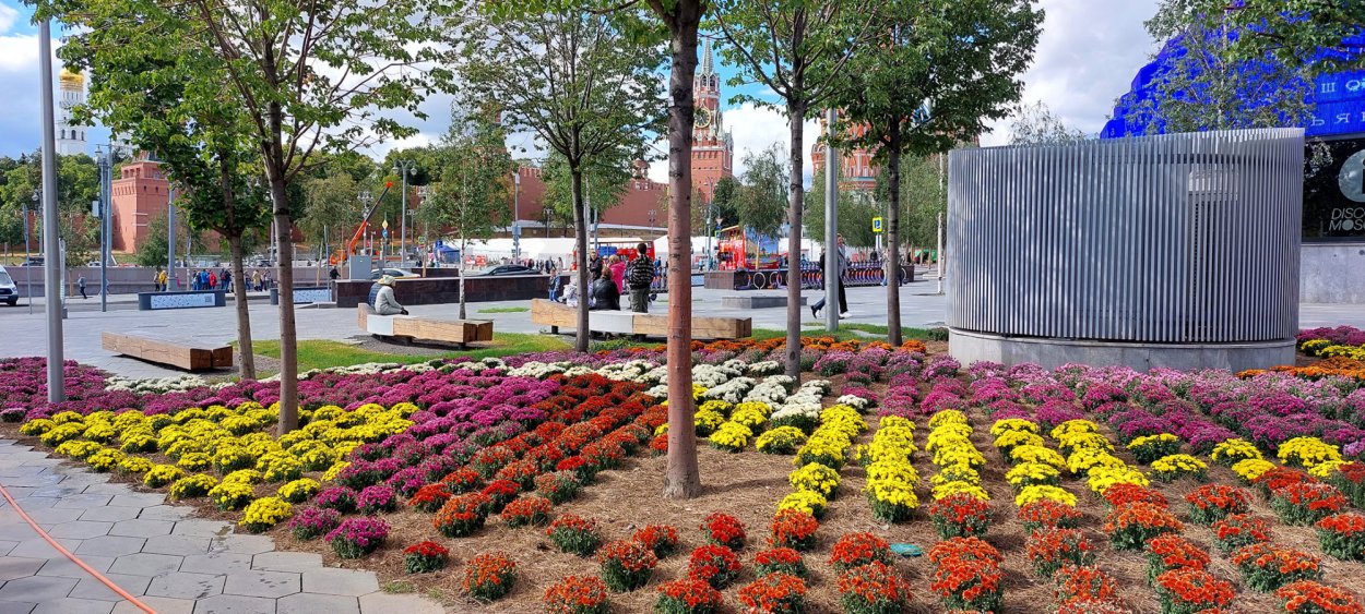 Сентябрь парк