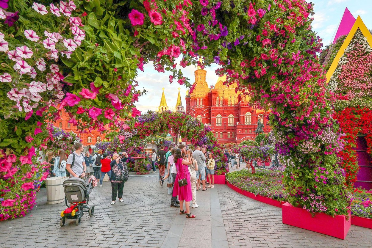 Арка в саду