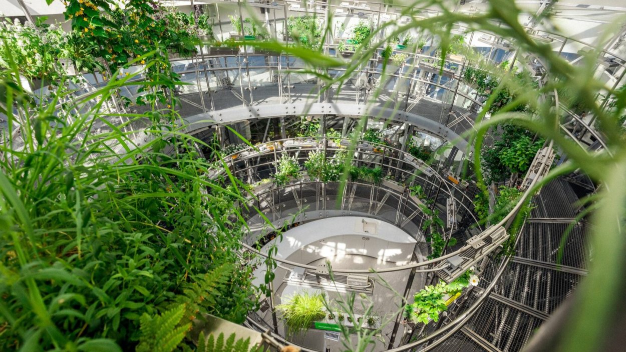 Парк Зарядье оранжерея