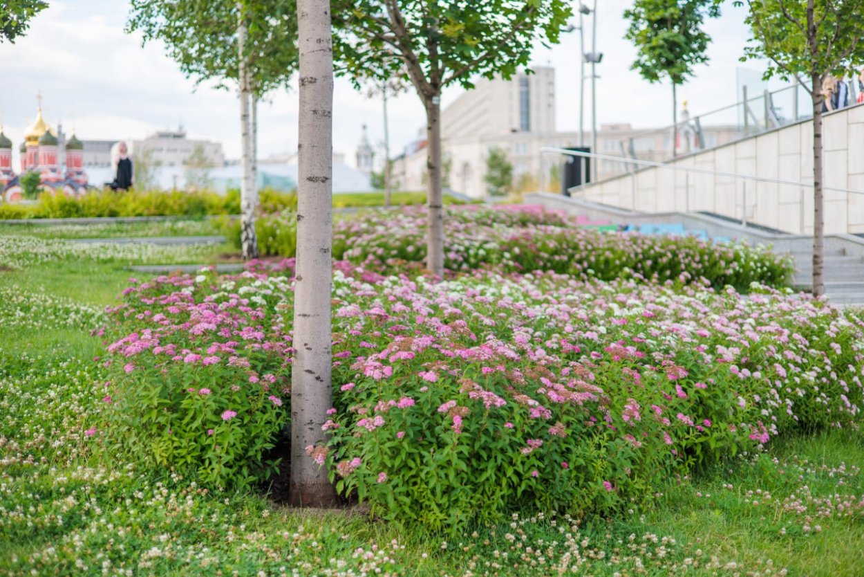 Парк Зарядье цветники