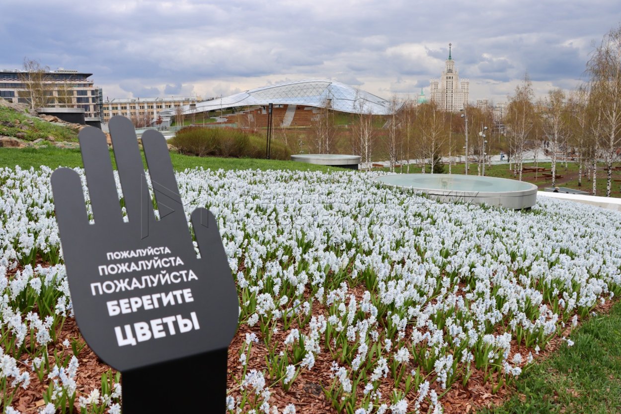 Цветы в Зарядье 2022