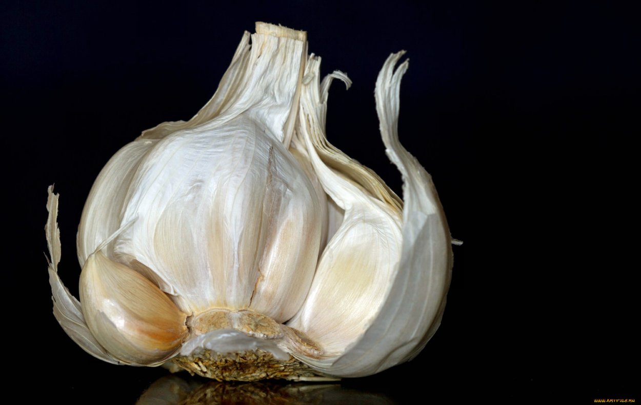 Чеснок вид сверху