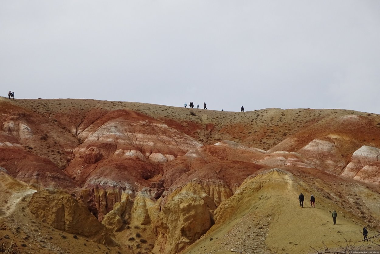 Алтайский край Марс красный