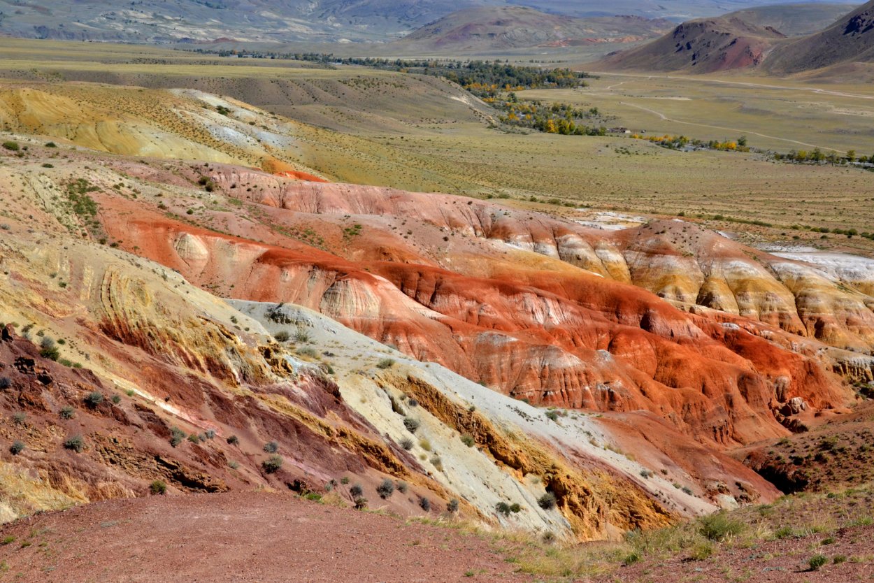 Марсово поле Алтай фото