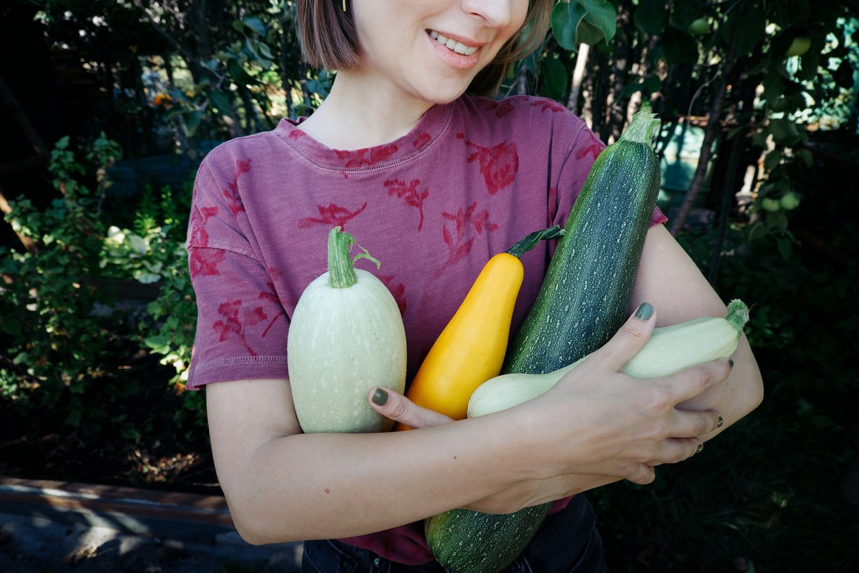 Кабачки много