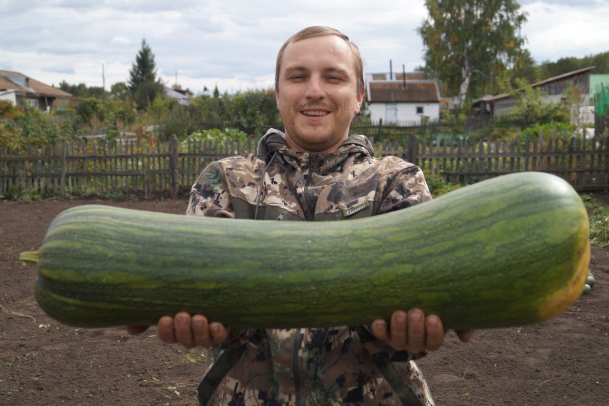 Большой кабачок