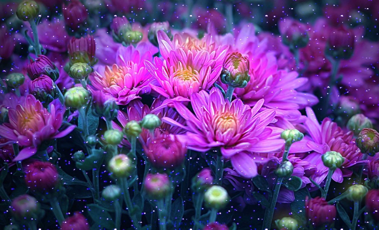 Сказочные цветы картинки