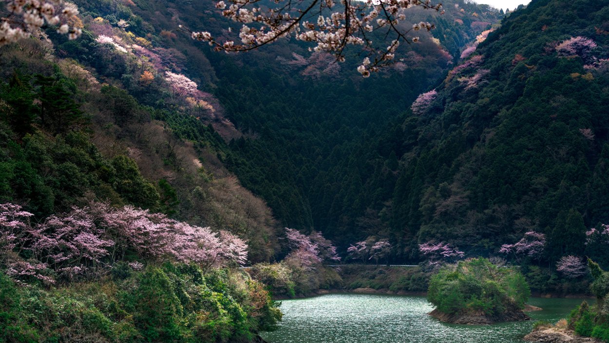 Ландшафт Япония горный