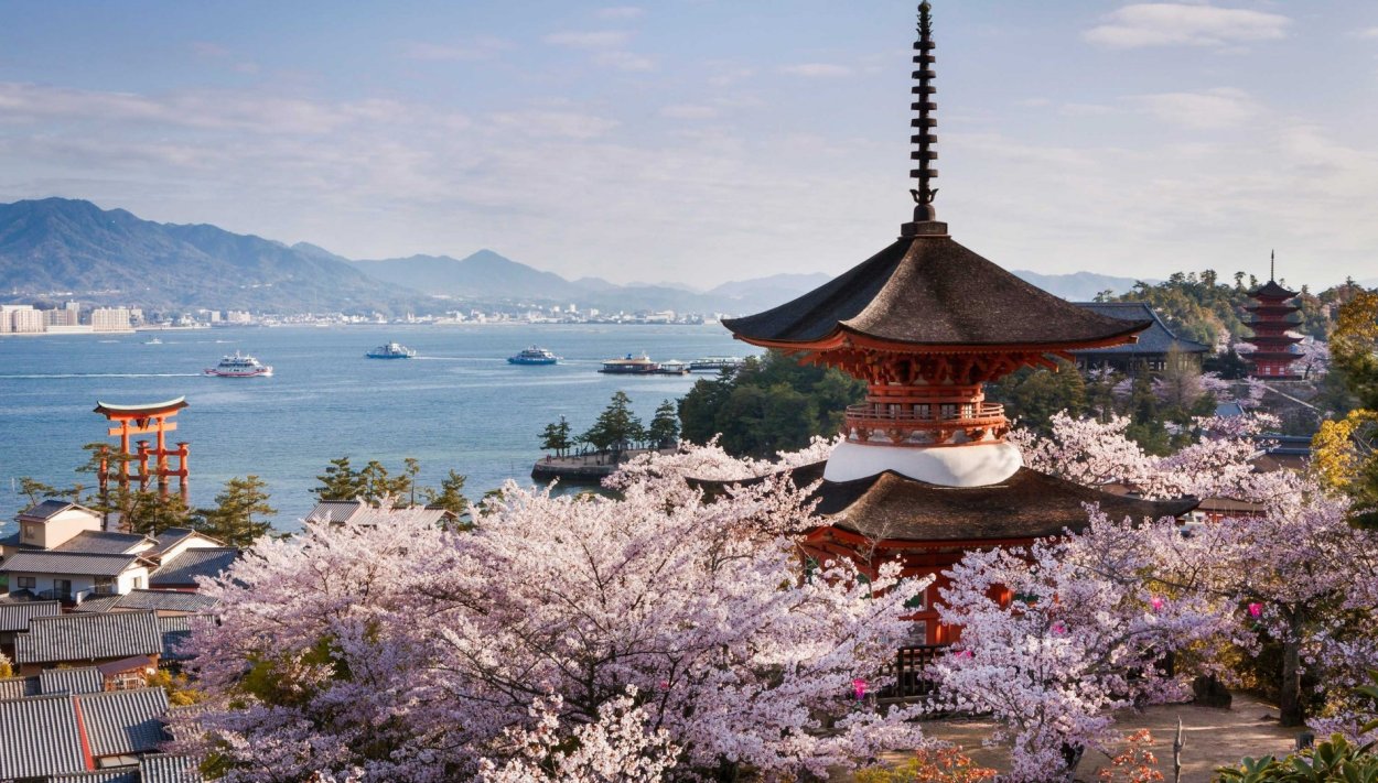 Тэгу Корея природа