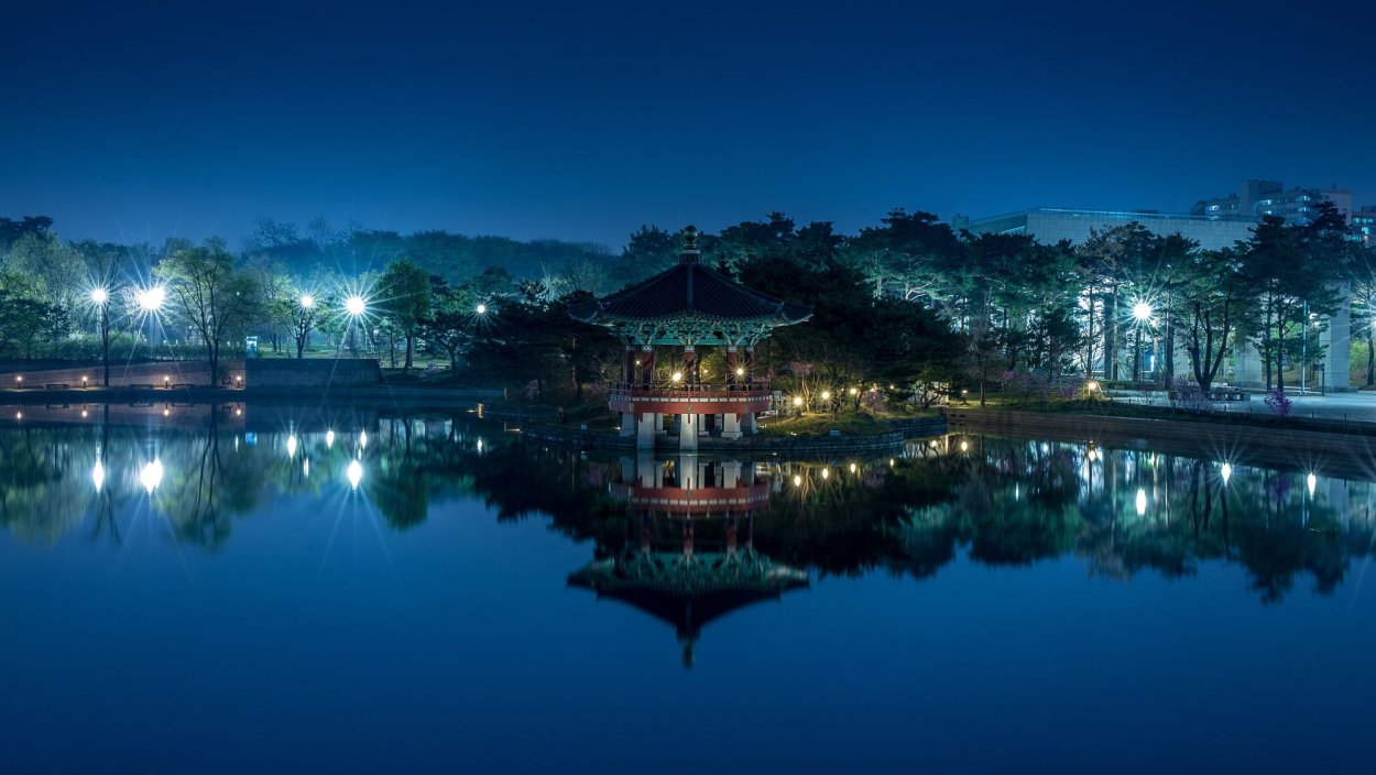 Сеул Южная Корея Сакура