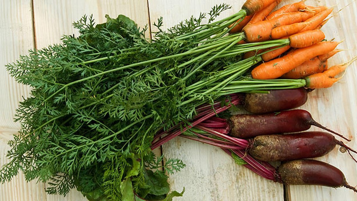 Морковная и свекольная ботва