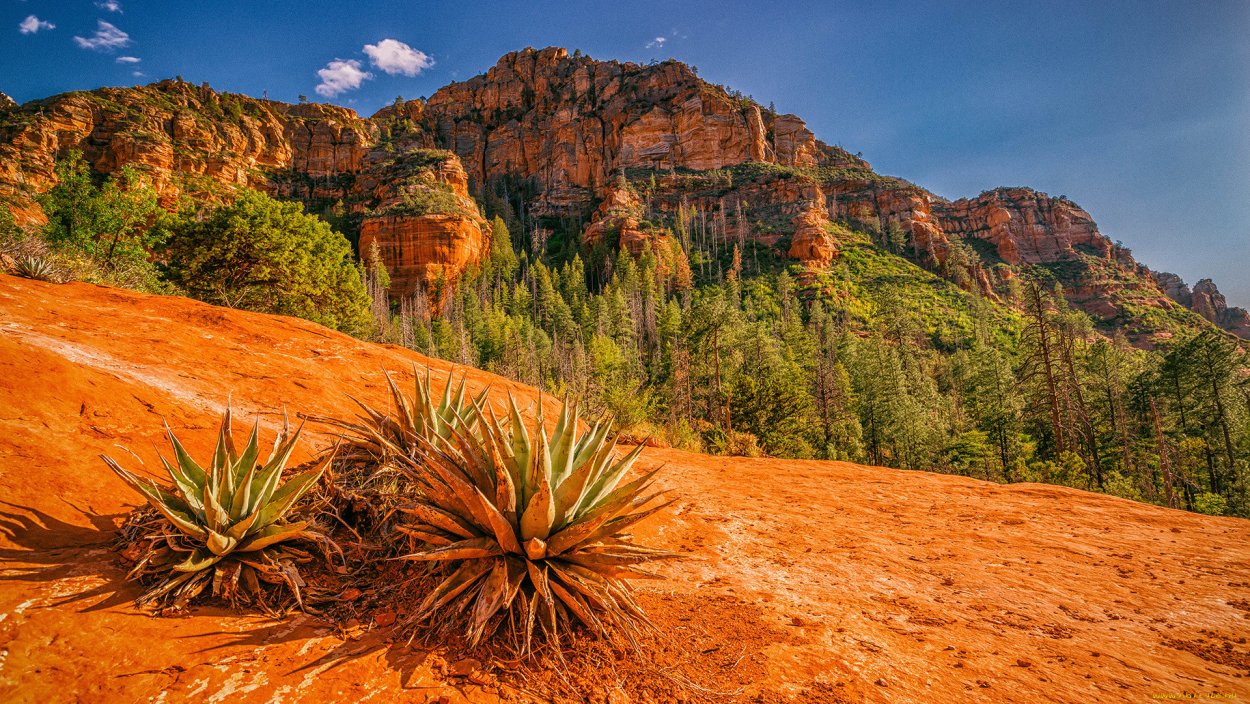 Калифорния штат Аризона