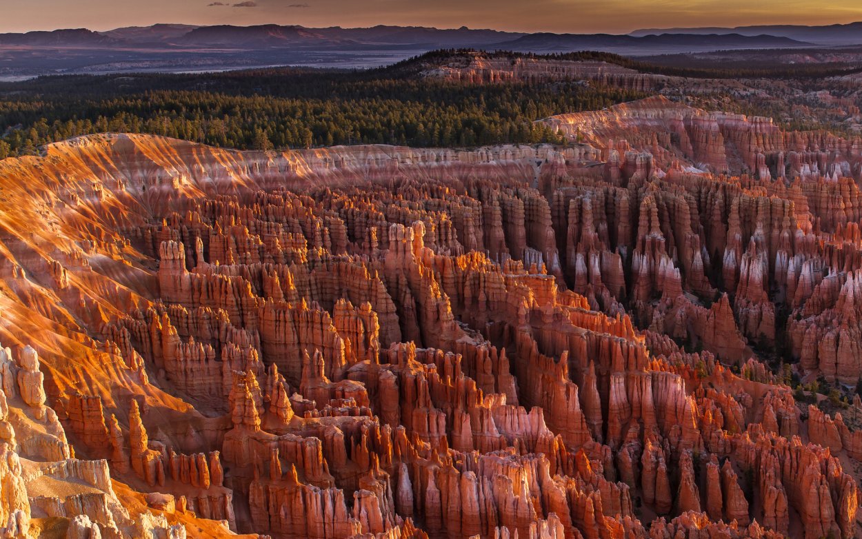 Йеллоустонский национальный парк каменный лес
