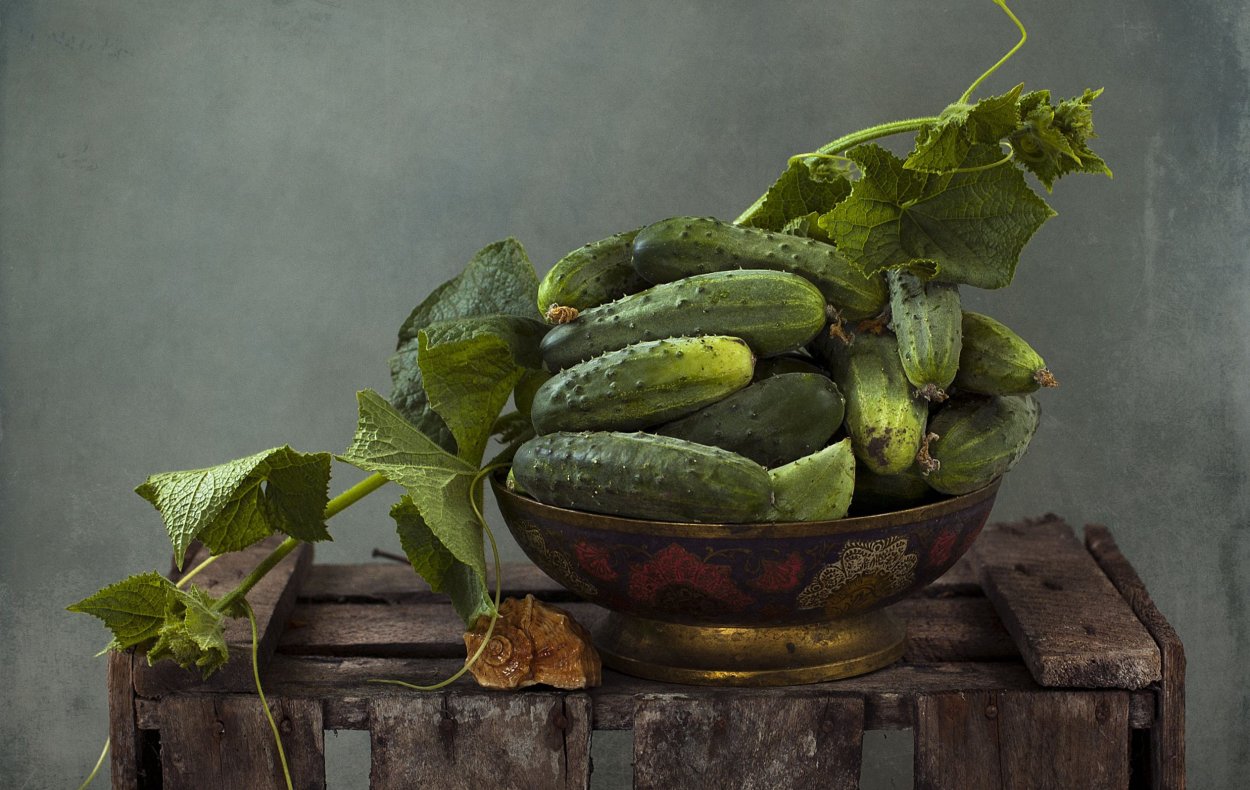 Натюрморт с огурцами