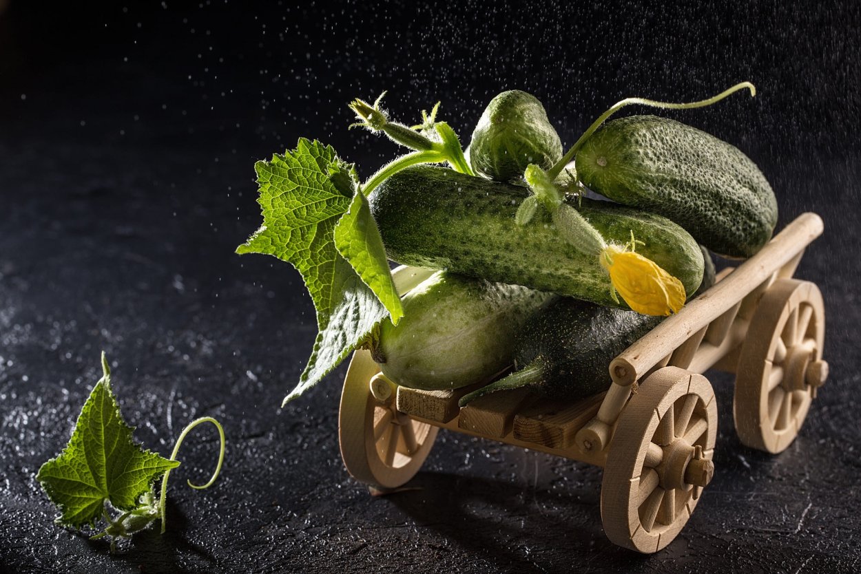 Огурец на черном фоне