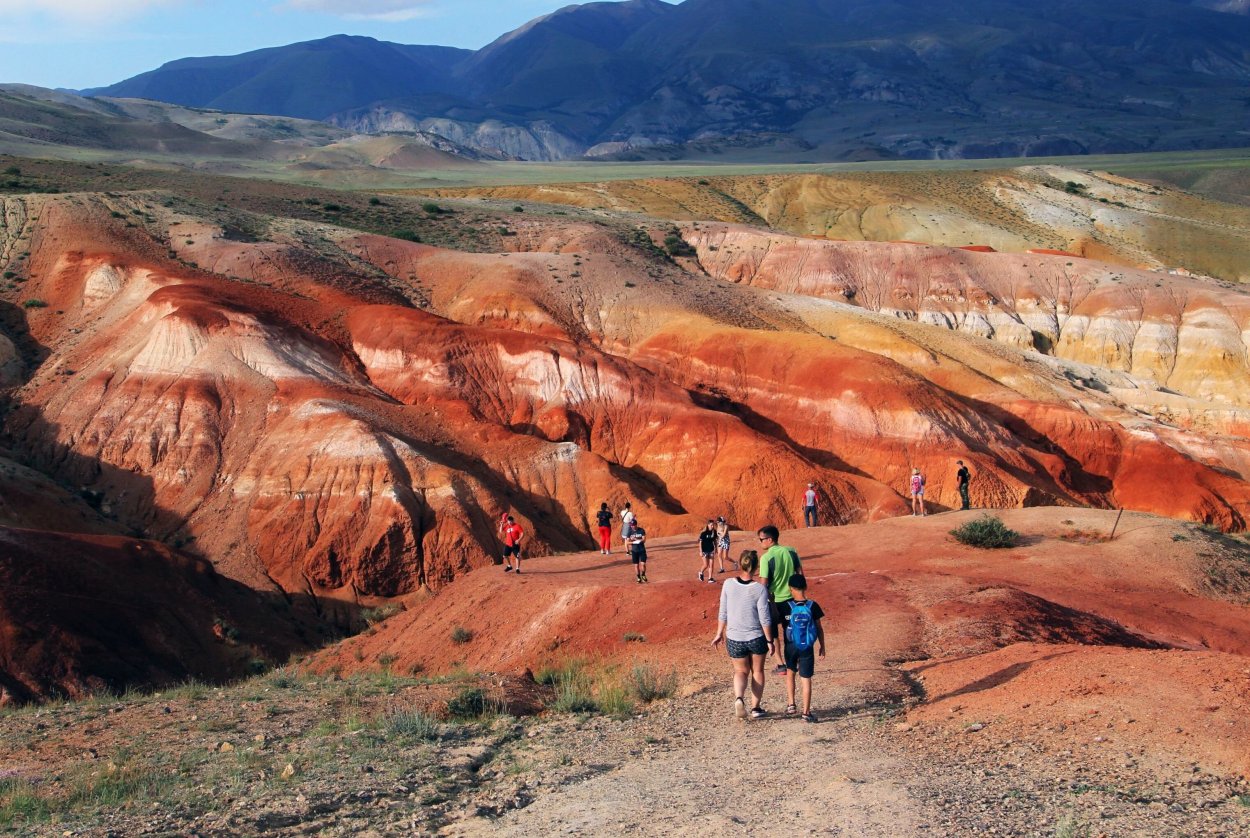 Кызыл чин горный Алтай