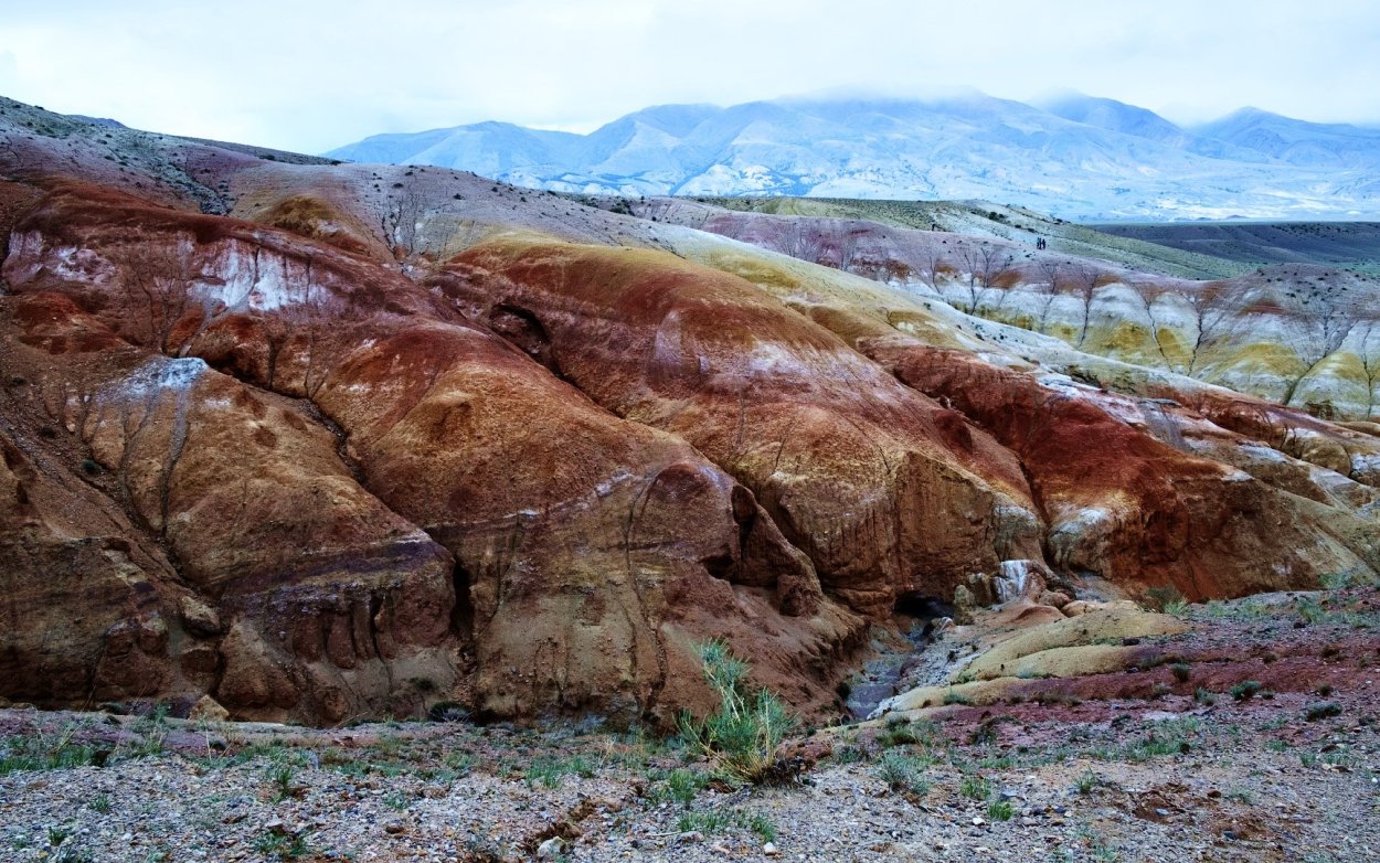 Марсовые поля Республика Алтай