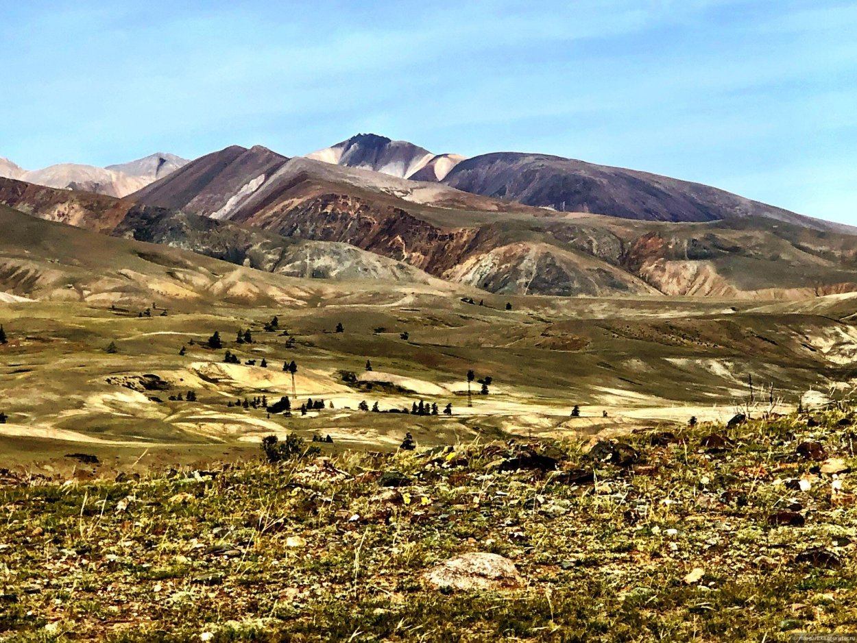 Марсово поле горный Алтай