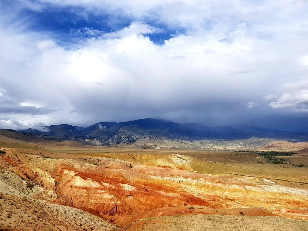 Марсово поле горный Алтай