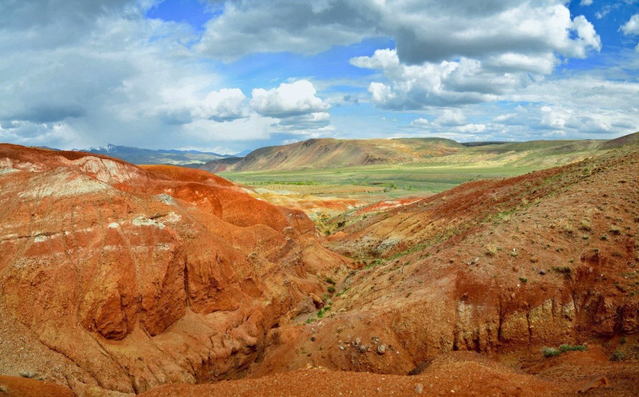 Марс Кош Агач