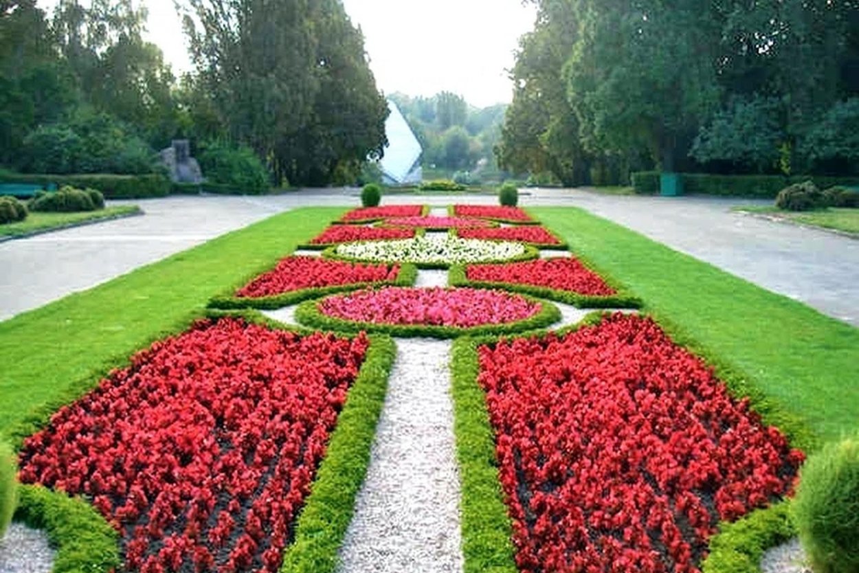 Партер клумба