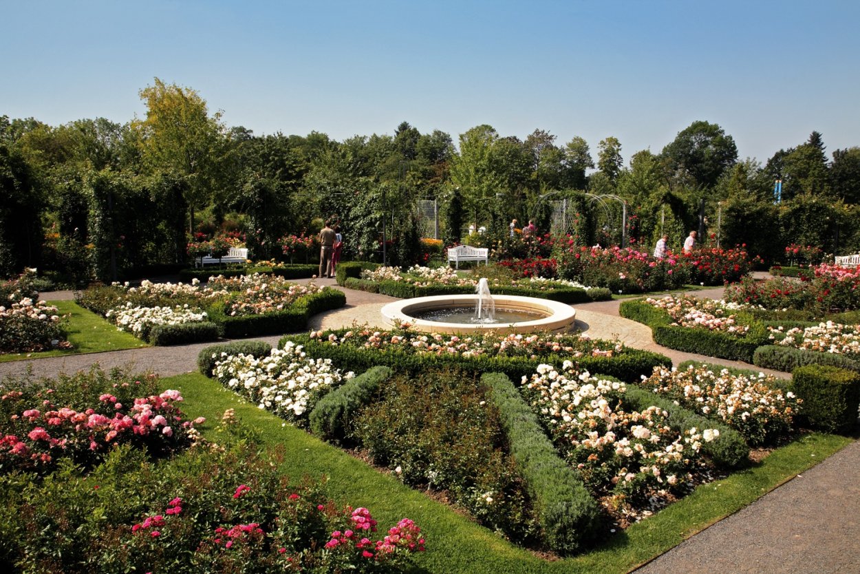 Парк Салгирка в Симферополе