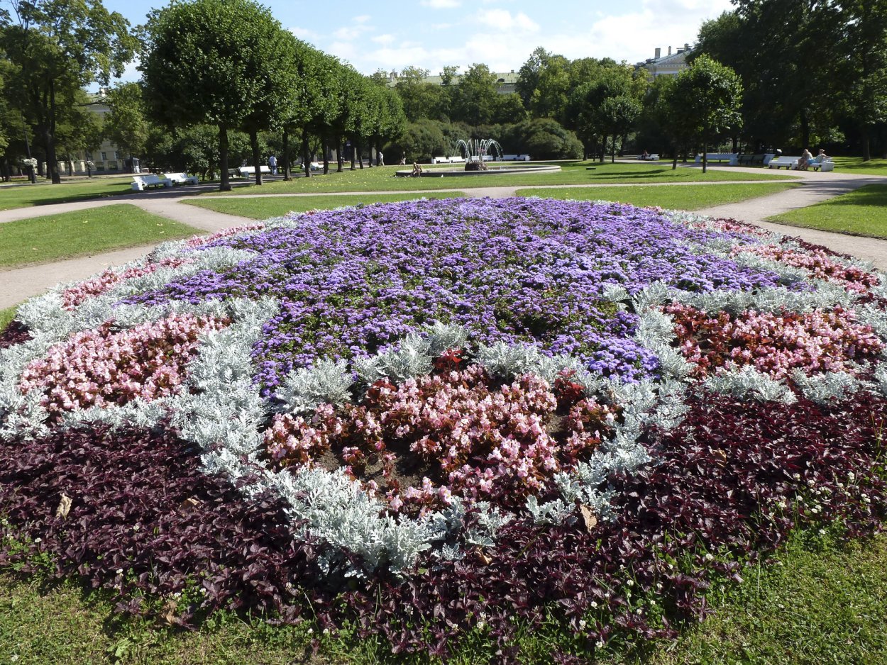 Сад партер Смольного зима