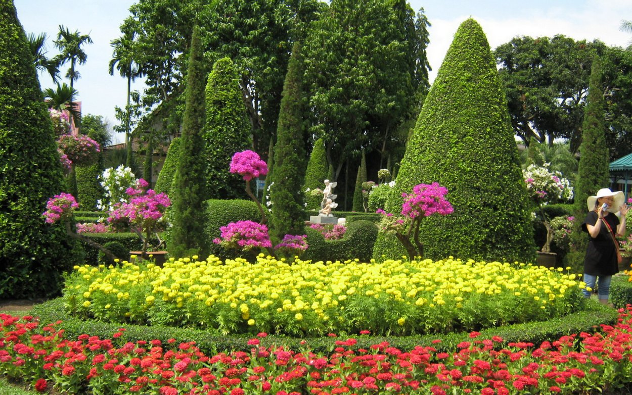 Растения в парках