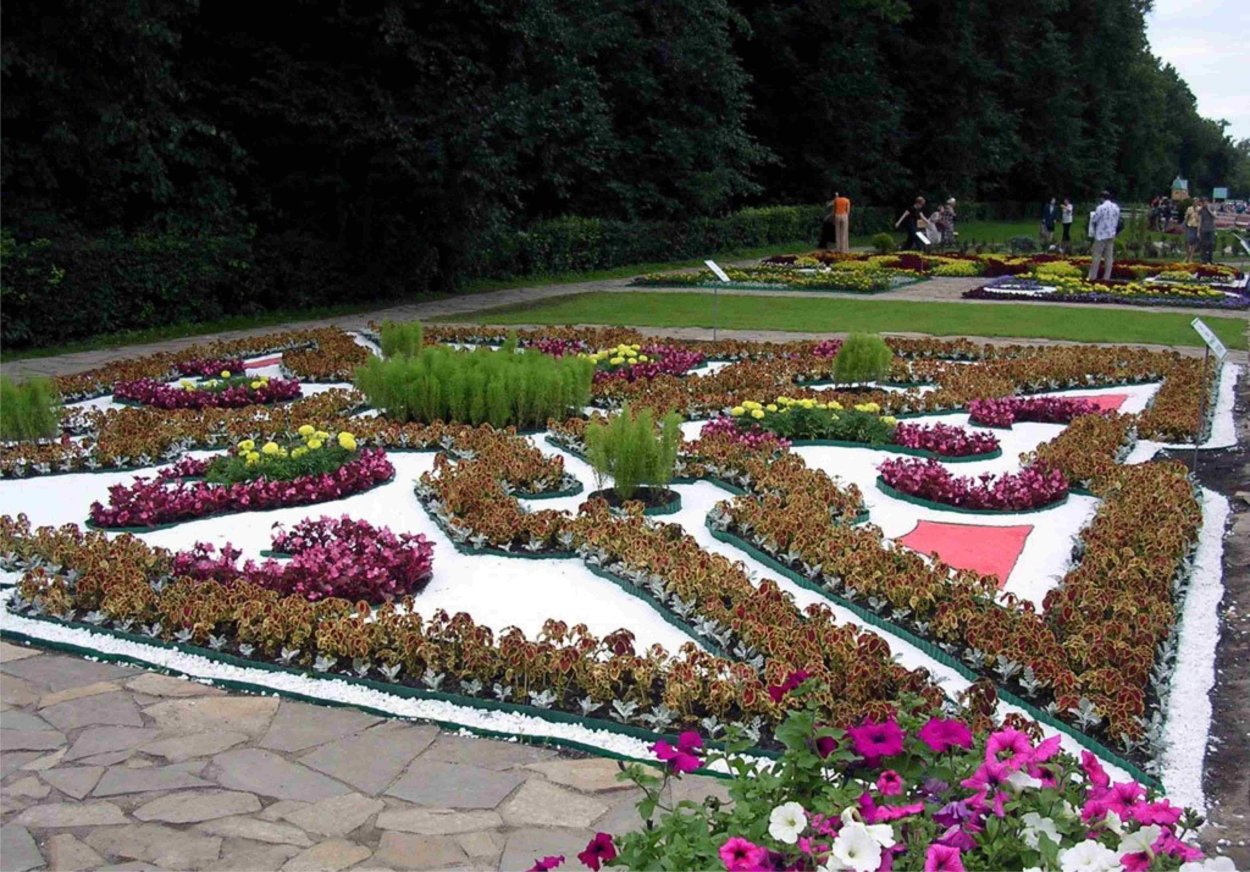 Ковровая клумба парк Горького