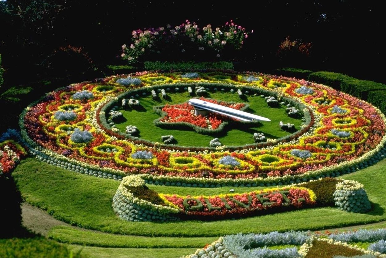 Цветочные часы клумба